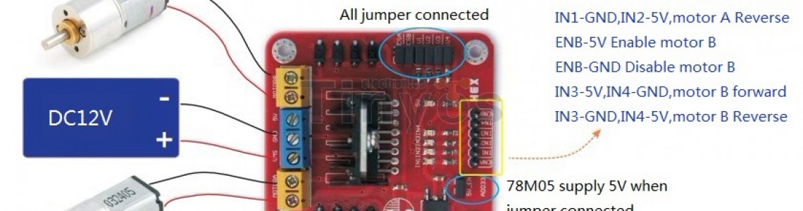 Motor Driver Modules & IC