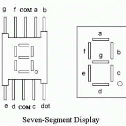 7 Segment Display 0.56"